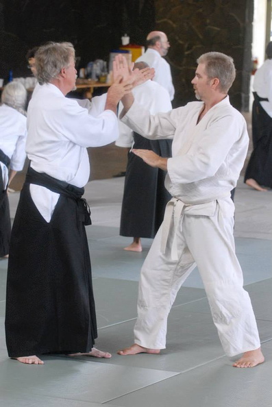 aikikai-o-kona-gleason-2014-130.jpg