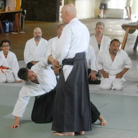 aikikai-o-kona-gleason-2014-131