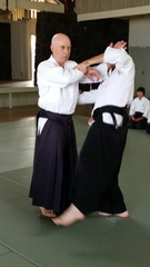 Bill Gleason Instructing in Aikido