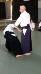 Bill Gleason Teaching Aikido