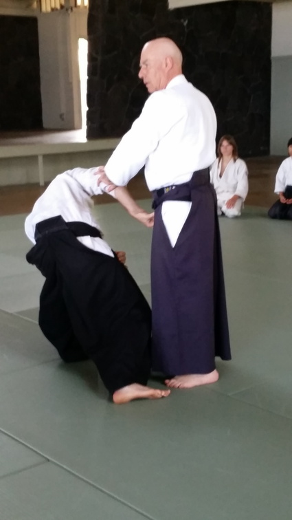 Bill Gleason Teaching Aikido