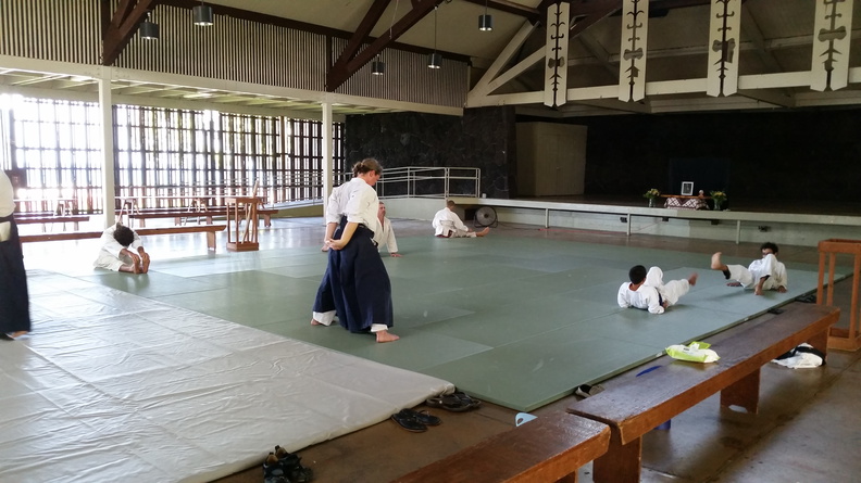 Aiki Kai o Kona Dojo, Kailua-Kona, Hawaii