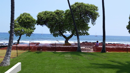 View from the Aiki Kai o Kona Dojo