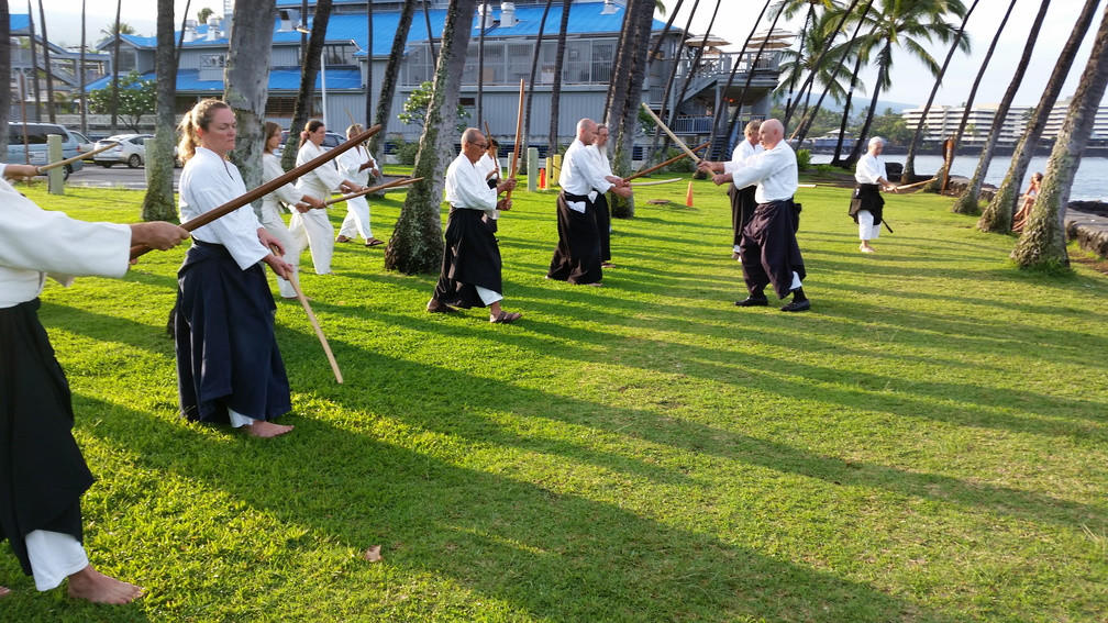 Aiki Kai o Kona Weapons Class