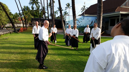 Bill Gleason - Kenjutsu Training