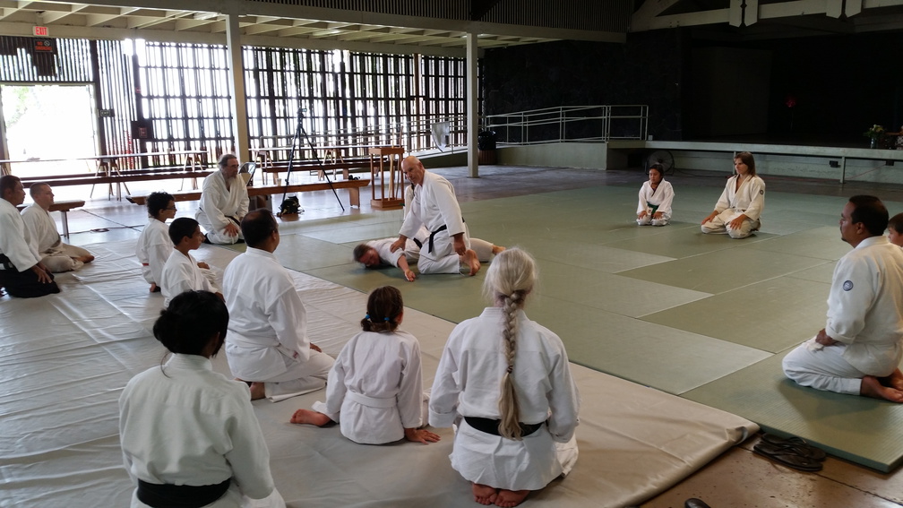 Aikido Children's Class in Kona Hawaii