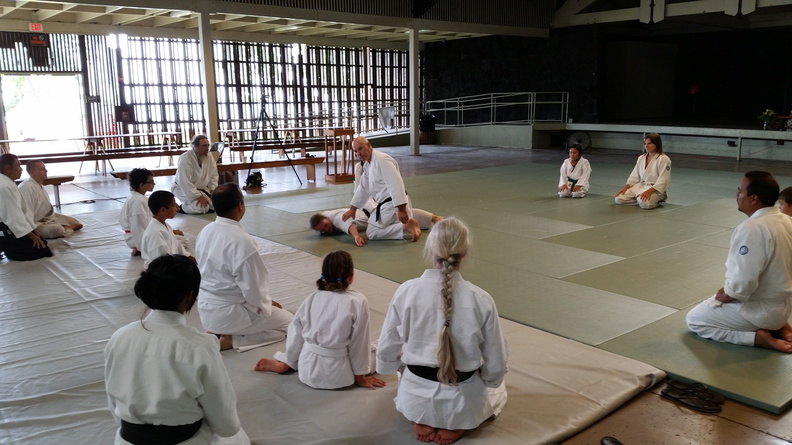 Aikido Children's Class in Kona Hawaii