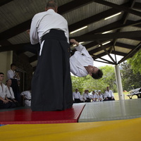 Taking Ukemi at the Aikido Ohana Gasshuku
