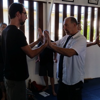 Dan Harden on in Hawaii - Aiki and Internal Power Workshop December 2014
