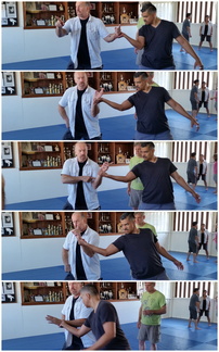 Dan Harden on in Hawaii - Aiki and Internal Power Workshop December 2014