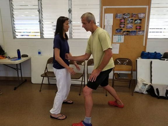 February 2018 Sangenkai Workshop in Hawaii