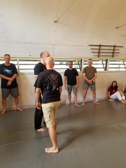 February 2018 Sangenkai Workshop in Hawaii