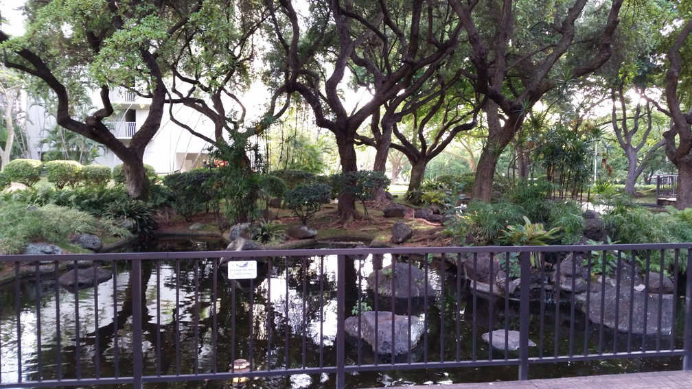 Tea House Lake at Queen Emma Gardens