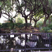 Tea House Lake at Queen Emma Gardens