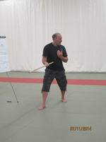 Dan Harden on in Hawaii - Aiki and Internal Power Workshop July 2014