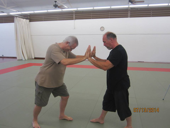 Dan Harden on in Hawaii - Aiki and Internal Power Workshop July 2014