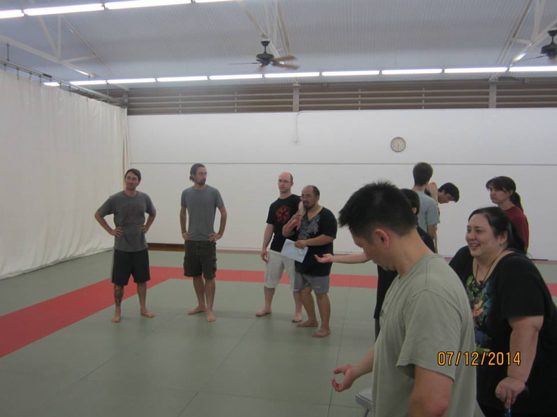 Dan Harden on in Hawaii - Aiki and Internal Power Workshop July 2014