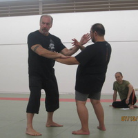 Dan Harden on in Hawaii - Aiki and Internal Power Workshop July 2014