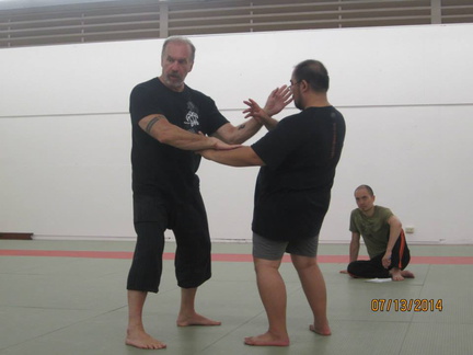 Dan Harden on in Hawaii - Aiki and Internal Power Workshop July 2014