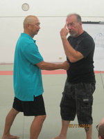 Dan Harden on in Hawaii - Aiki and Internal Power Workshop July 2014