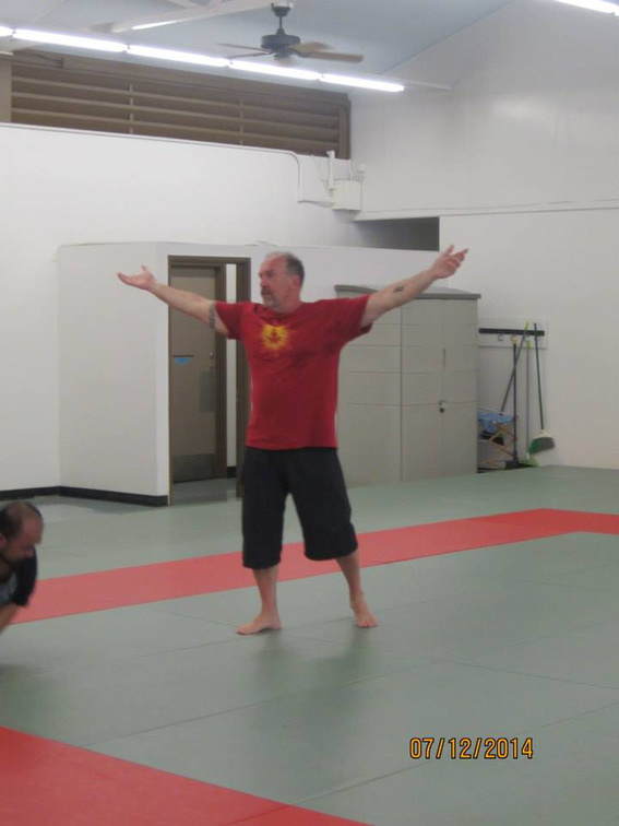 Dan Harden on in Hawaii - Aiki and Internal Power Workshop July 2014