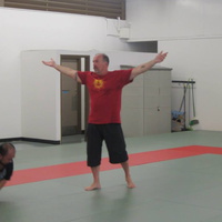 Dan Harden on in Hawaii - Aiki and Internal Power Workshop July 2014