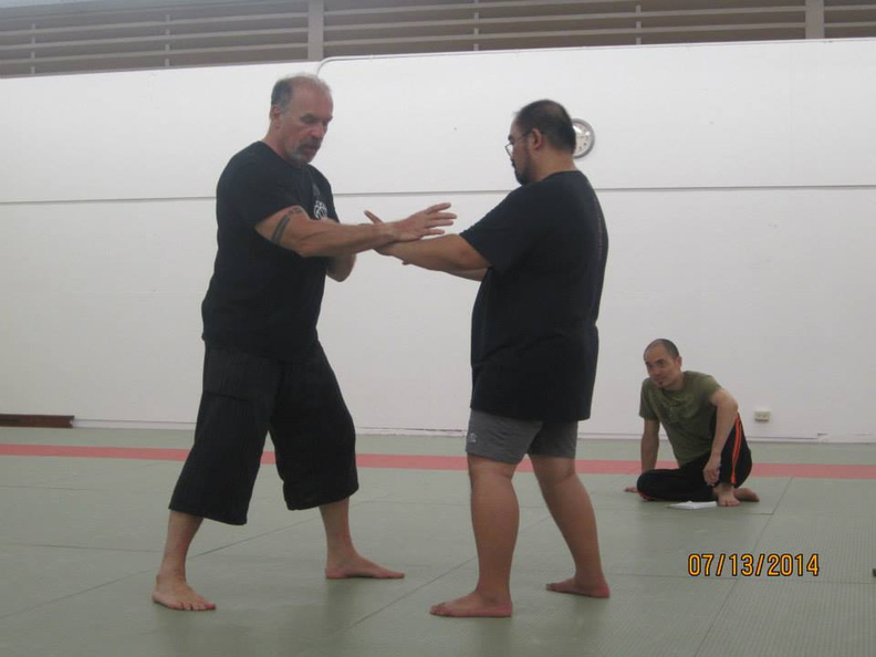 Dan Harden on in Hawaii - Aiki and Internal Power Workshop July 2014