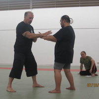 Dan Harden on in Hawaii - Aiki and Internal Power Workshop July 2014