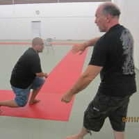 Dan Harden on in Hawaii - Aiki and Internal Power Workshop July 2014