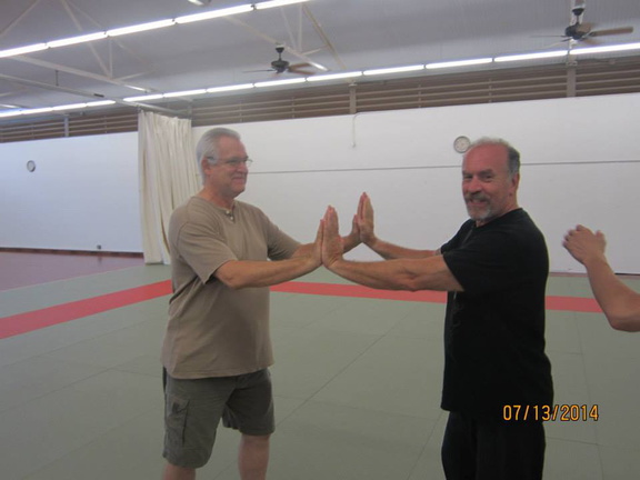 Dan Harden on in Hawaii - Aiki and Internal Power Workshop July 2014