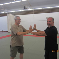 Dan Harden on in Hawaii - Aiki and Internal Power Workshop July 2014