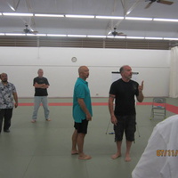 Dan Harden on in Hawaii - Aiki and Internal Power Workshop July 2014