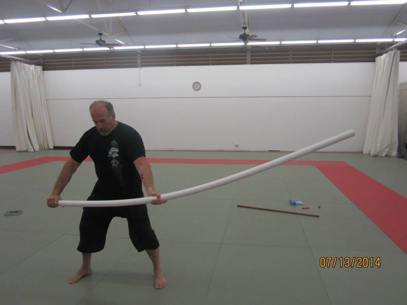 Dan Harden on in Hawaii - Aiki and Internal Power Workshop July 2014