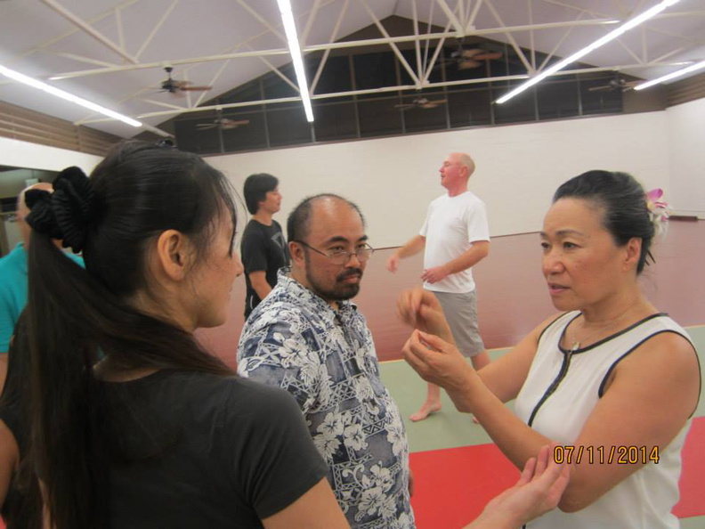 Dan Harden on in Hawaii - Aiki and Internal Power Workshop July 2014