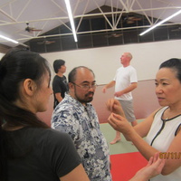 Dan Harden on in Hawaii - Aiki and Internal Power Workshop July 2014