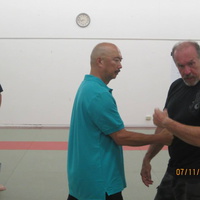 Dan Harden on in Hawaii - Aiki and Internal Power Workshop July 2014