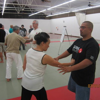 Dan Harden on in Hawaii - Aiki and Internal Power Workshop July 2014