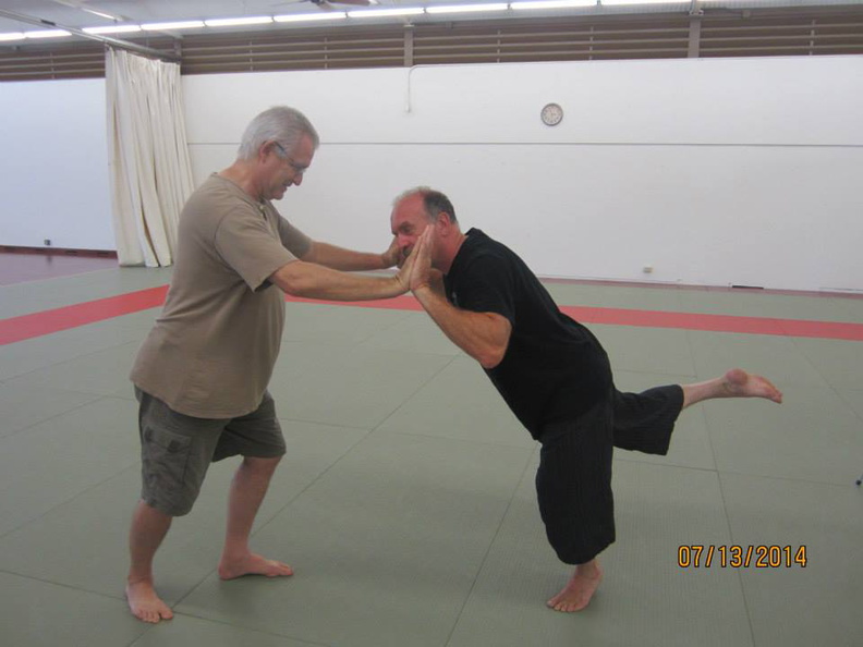 Dan Harden on in Hawaii - Aiki and Internal Power Workshop July 2014