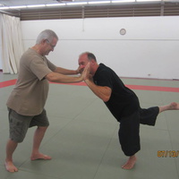 Dan Harden on in Hawaii - Aiki and Internal Power Workshop July 2014