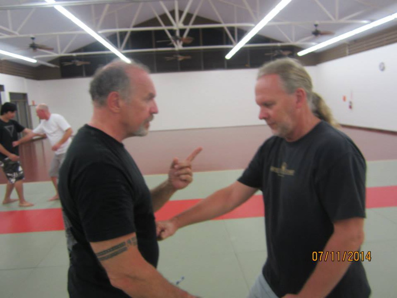 Dan Harden on in Hawaii - Aiki and Internal Power Workshop July 2014