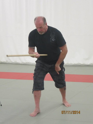 Dan Harden on in Hawaii - Aiki and Internal Power Workshop July 2014