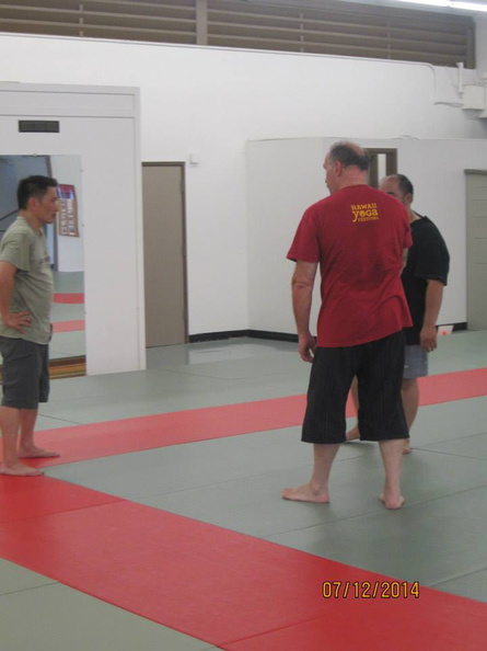 Dan Harden on in Hawaii - Aiki and Internal Power Workshop July 2014