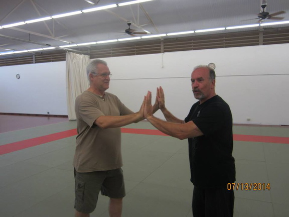 Dan Harden on in Hawaii - Aiki and Internal Power Workshop July 2014