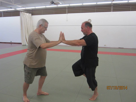 Dan Harden on in Hawaii - Aiki and Internal Power Workshop July 2014