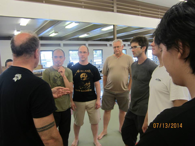 Dan Harden on in Hawaii - Aiki and Internal Power Workshop July 2014