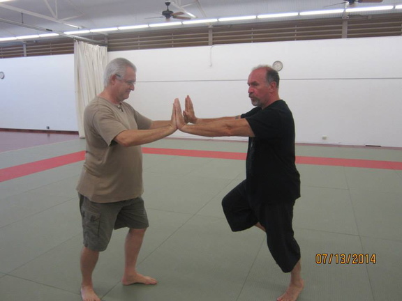 Dan Harden on in Hawaii - Aiki and Internal Power Workshop July 2014