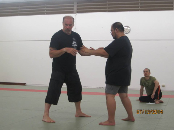 Dan Harden on in Hawaii - Aiki and Internal Power Workshop July 2014