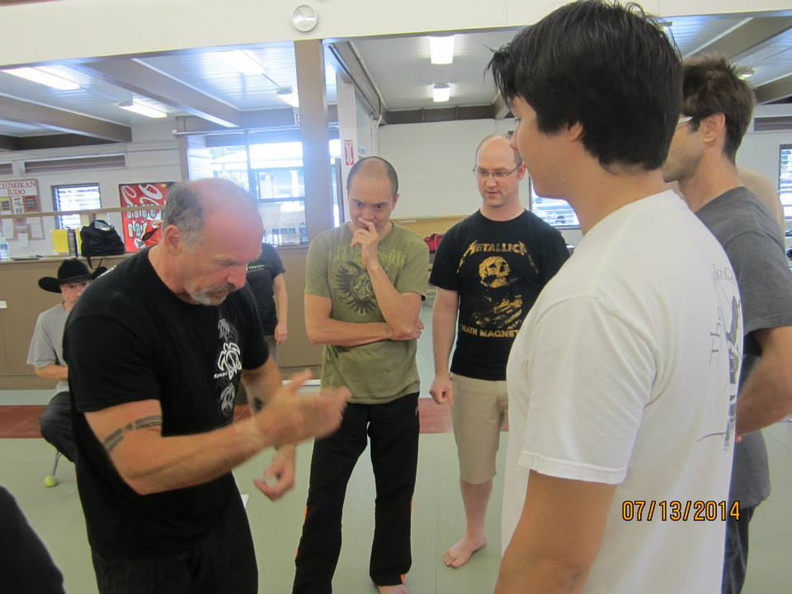 Dan Harden on in Hawaii - Aiki and Internal Power Workshop July 2014