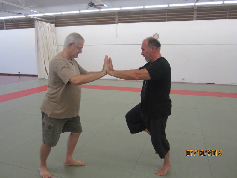 Dan Harden on in Hawaii - Aiki and Internal Power Workshop July 2014