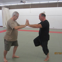 Dan Harden on in Hawaii - Aiki and Internal Power Workshop July 2014